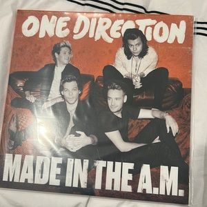 One direction made in the am album on vinyl
